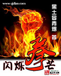 闪烁拳芒 闪烁拳芒