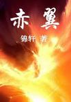 赤翼 赤翼