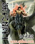 第九骑士 第九骑士