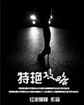特艳攻略封面