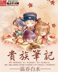 贵族笔记封面