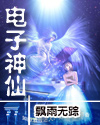 电子神仙封面