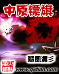镖旗 镖旗
