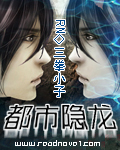 都市隐龙封面