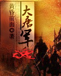 大唐军魂封面