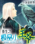 重生之极品小王爷封面
