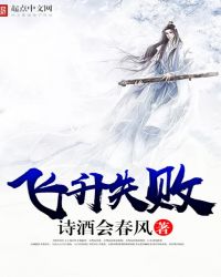 飞升失败 飞升失败