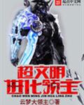 超文明进化领主 超文明进化领主