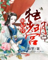 独步明宫:明妃传封面