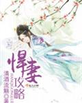 悍妻攻略封面