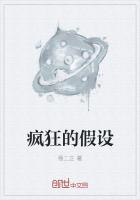 疯狂的假设封面