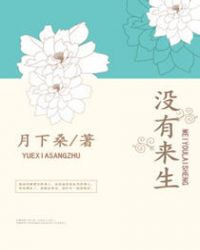 没有来生封面